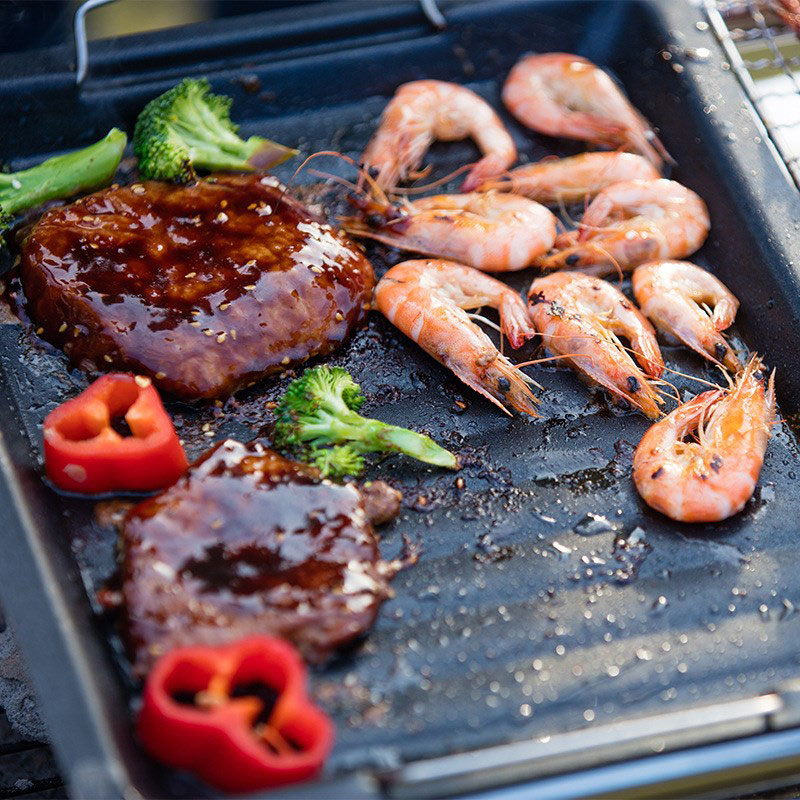 Outdoors Thick Square Grill Pa - Camping Hiking Cooking 评论和价格