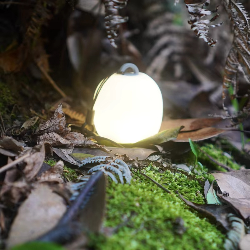 Mini Egg-Shaped Squeeze Silico - Camping Cooking Container 评论和价格